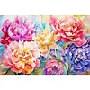 Peony-Full Embroidery 3 Strands 11CT Stamped Cross Stitch-60*40CM-Large Size