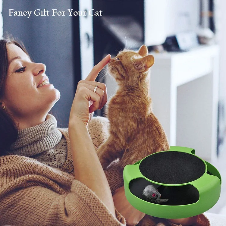 Catch Mouse Interactive Cat Toy | 168DEAL