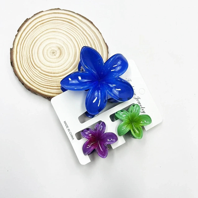 Vacation Modern Style Women’s Flower Resin Hair Claws