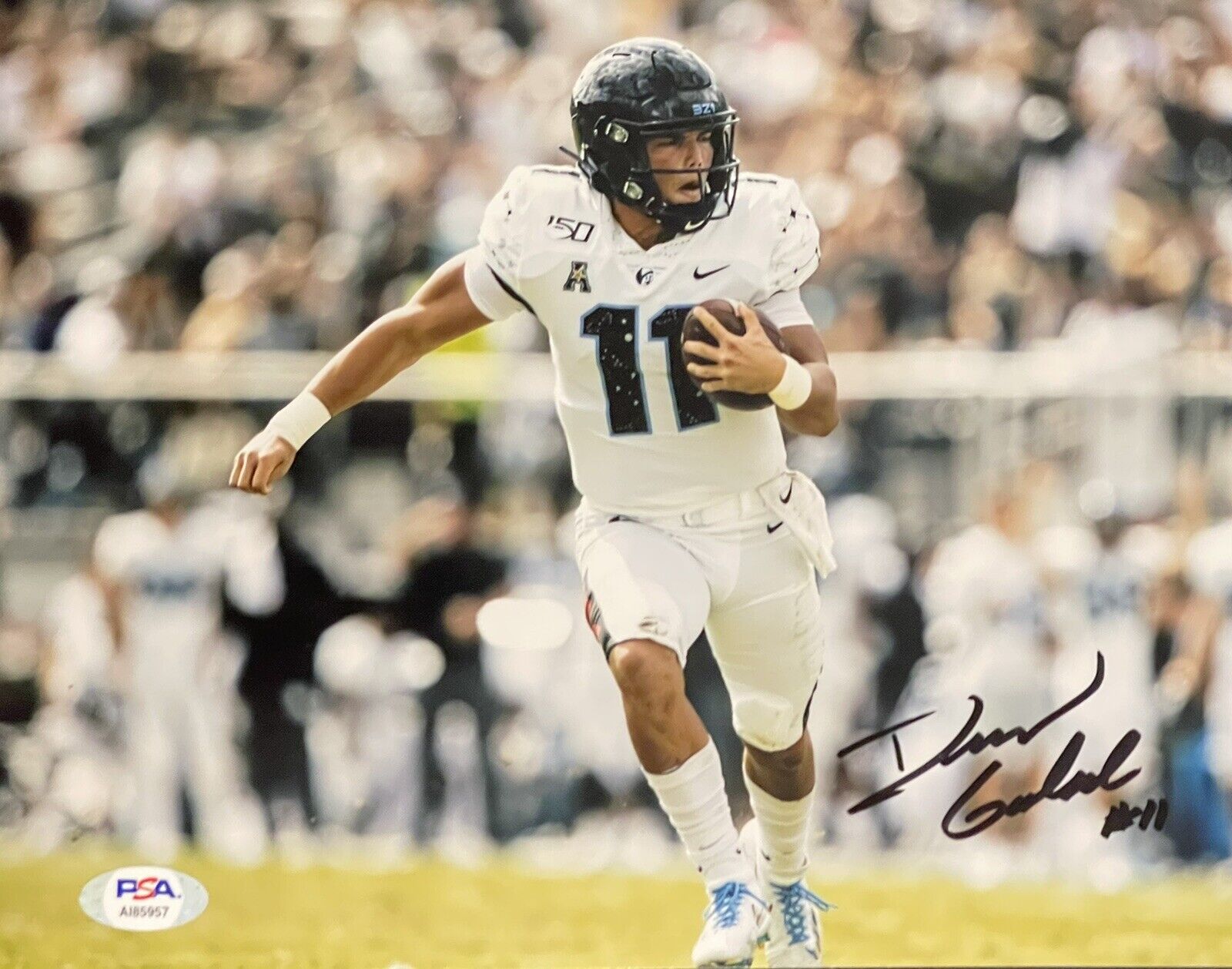 Dillon Gabriel Signed Autographed UCF Knights 8x10 Photo Poster painting PSA/DNA