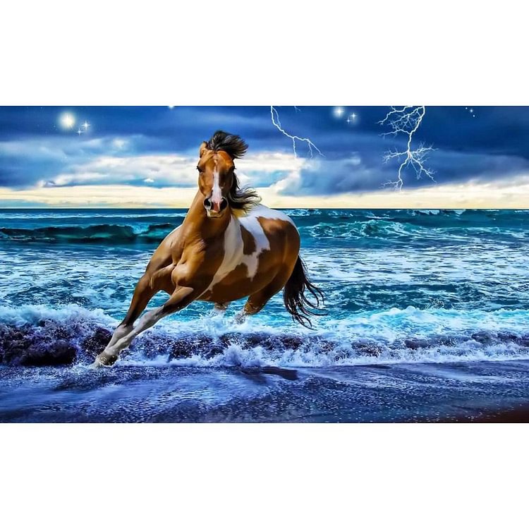 Horse  Diamond  30*20cm