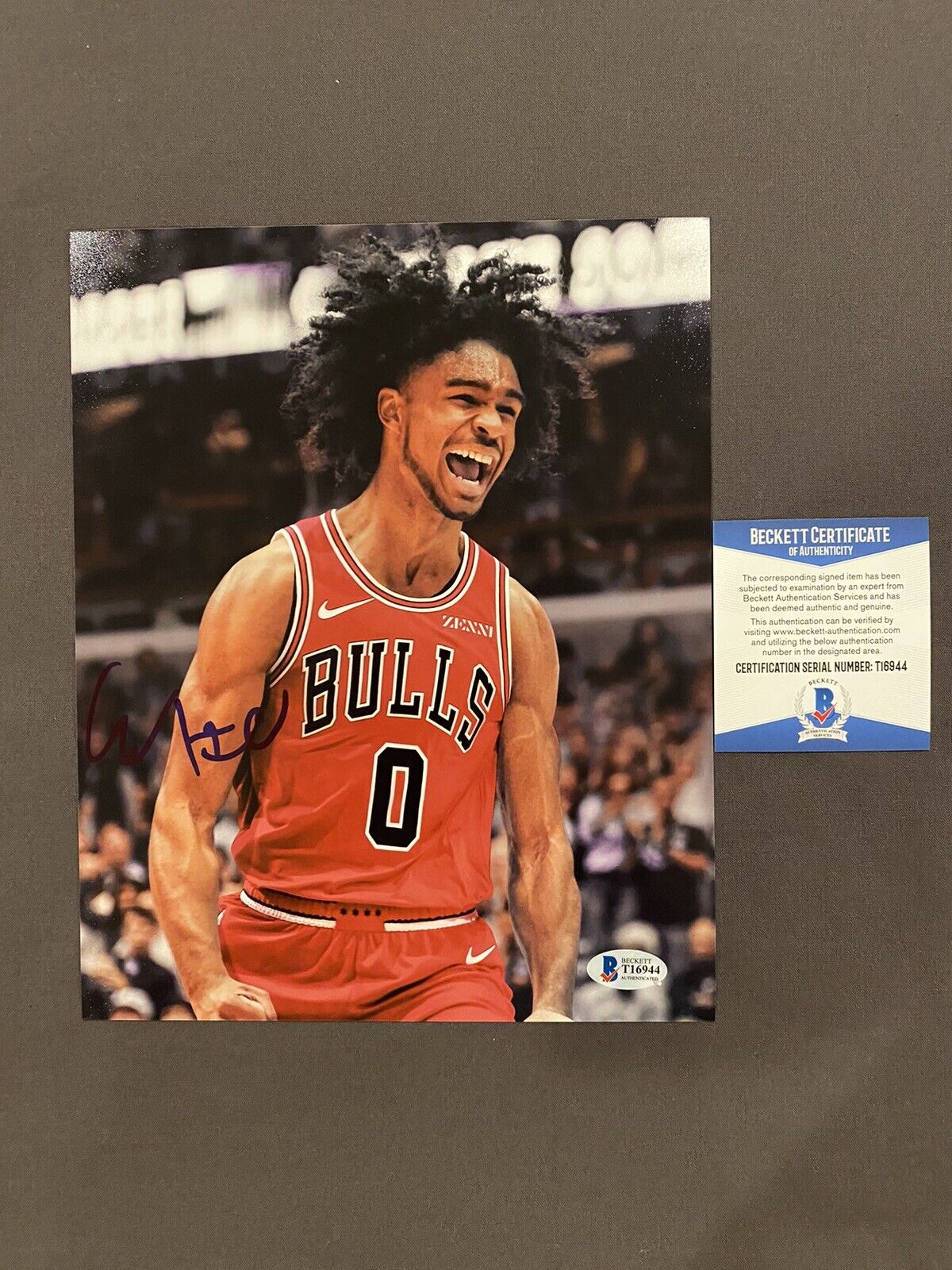 BECKETT COA COBY WHITE Signed Auto CHICAGO BULLS 8x10 Photo Poster painting UNC Basketball