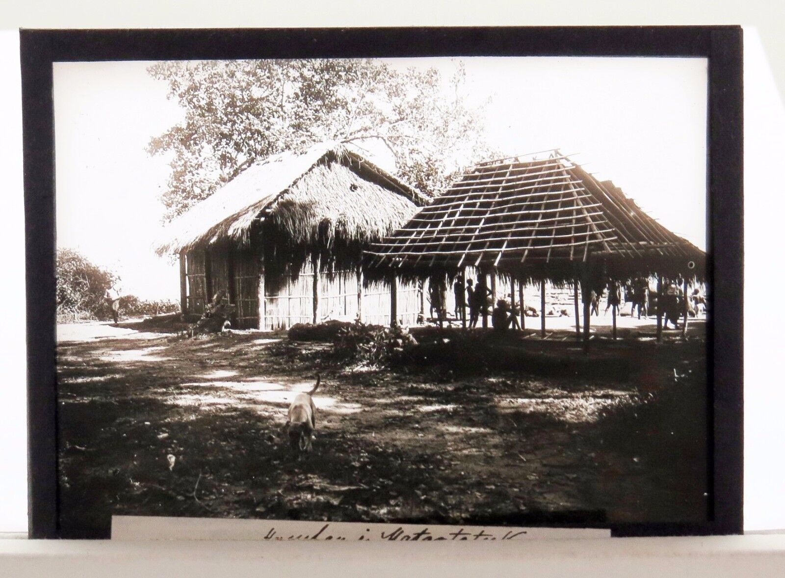 Glass Negative New Guinea Glass Photo Poster painting Afrika Deutsche Kolonie Glas Dia Foto N-96