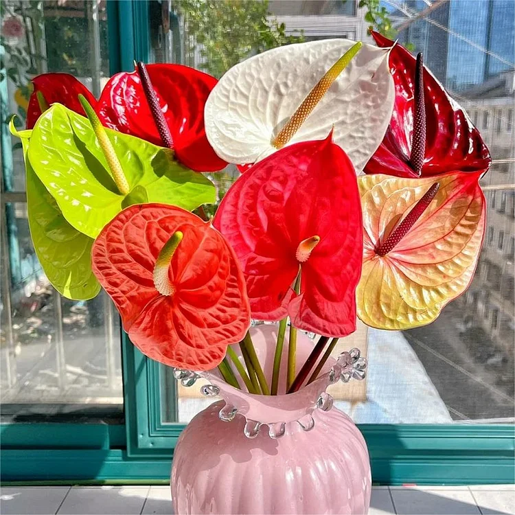 Anthurium – attracts wealth and luck