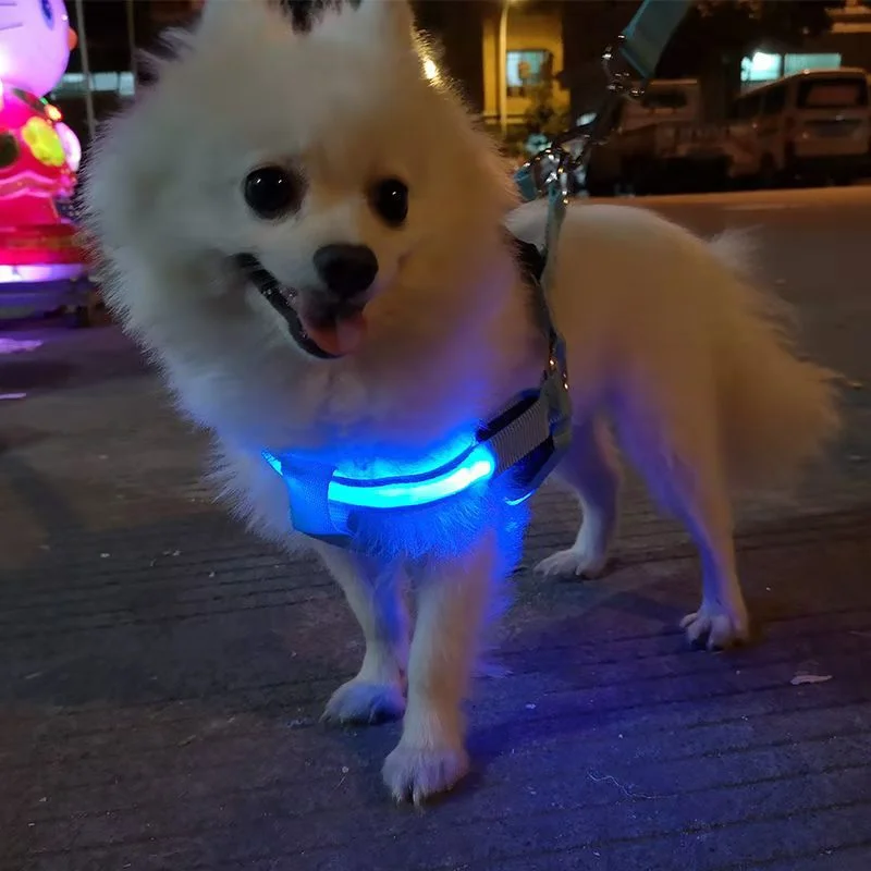 2025 Hot Selling LED Flaring Pet Vest Harness PP Material for Dogs and Cats with Leash Used for Walking the Dog at Night