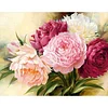 Peony - 18CT Stamped Cross Stitch - 50*40cm - Flower