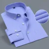 Business Stretch Slim Fit Shirt