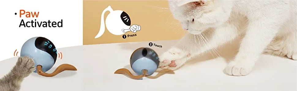 Cat Toys Interactive Toys Rolling Ball Toys Cat Wand Feather Teaser Toys Electronic Toys