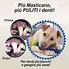 Gioiacombo&trade;Spazzolino da denti autopulente per cani