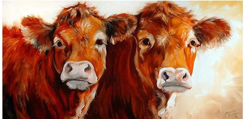 

Two Brown Cows – Paint By Numbers - 40*50CM, 501 Original