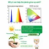 5M Flower Plant Phyto Growth Lamp 2835 SMD for Plants Hydroponics Growing System