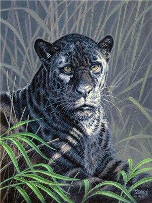 

Black Jaguar – Paint By Numbers - 40*50CM, 501 Original