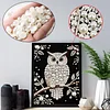 Diamond Painting-DIY Special Shaped Drill Pearl Painting Owl(30x40cm)
