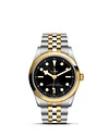 Tudor Black Bay 36 S&G