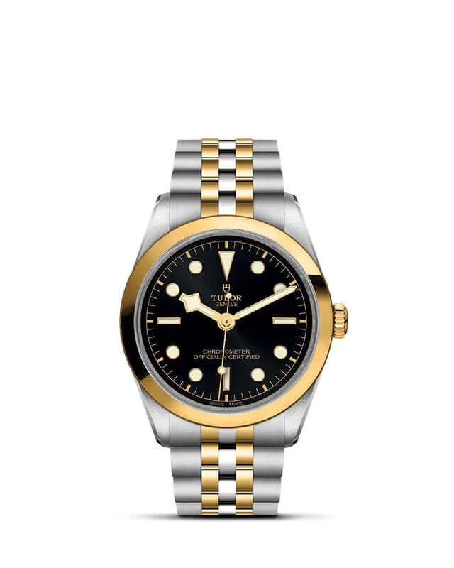 Tudor Black Bay 36 S&G