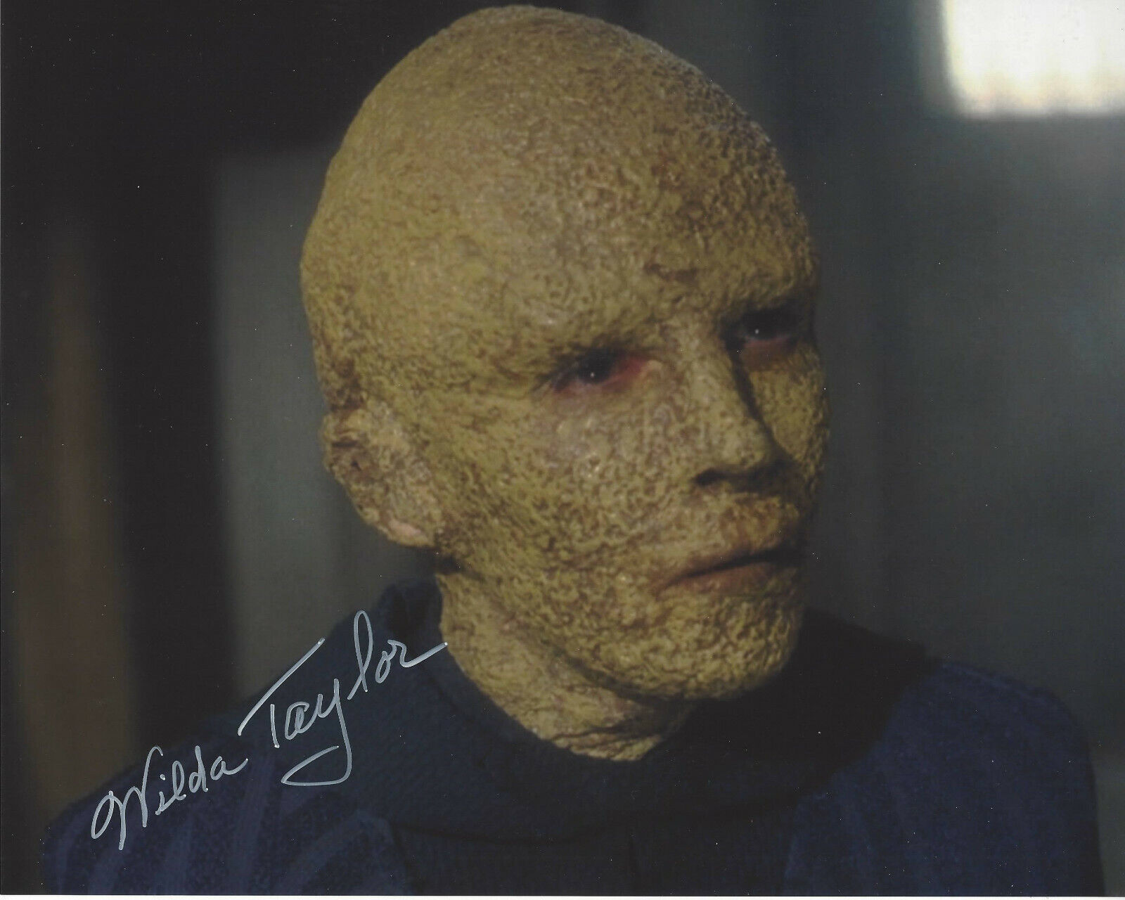 WILDA TAYLOR SIGNED AUTHENTIC 'STAR TREK: ENTERPRISE' 8X10 Photo Poster painting B w/COA ACTRESS