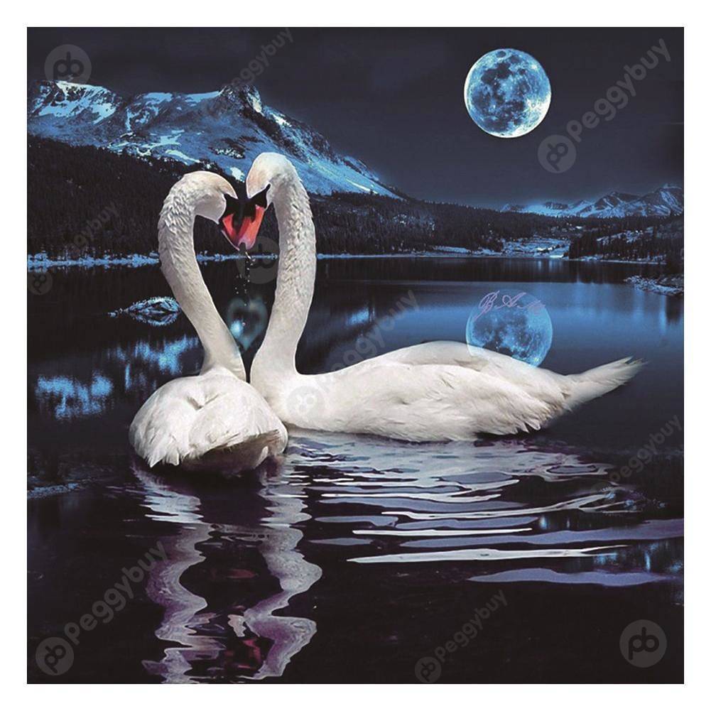 

25*25CM Special Shaped Diamond Painting-Swans, 501 Original