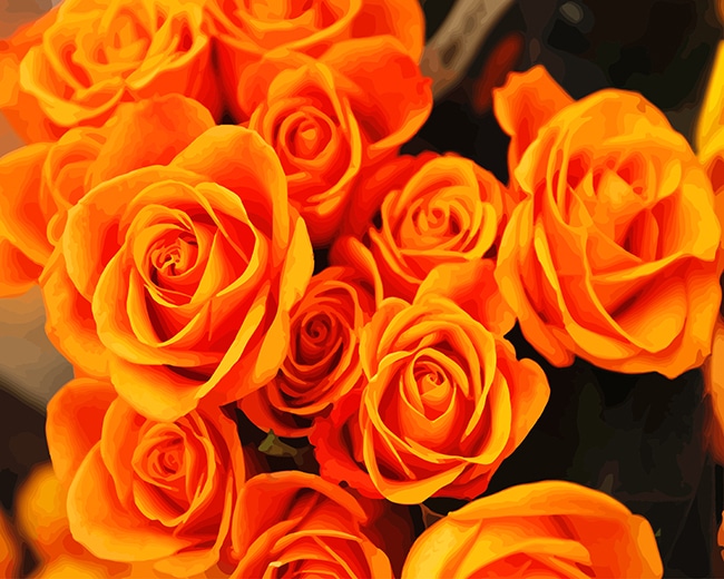 

Beautiful Orange Flowers – Paint By Numbers - 40*50CM, 501 Original