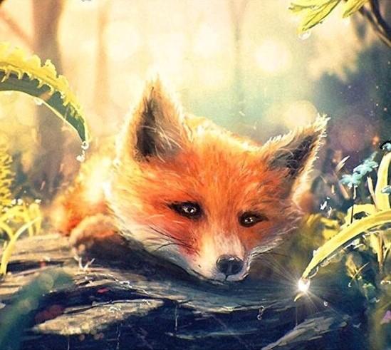 

Lovely Woodland Fox – Paint By Numbers - 40*50CM, 501 Original