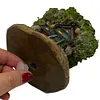 Tree House Flower Pot Bonsai Pot Decorative Resin Multi-Function for Home Office