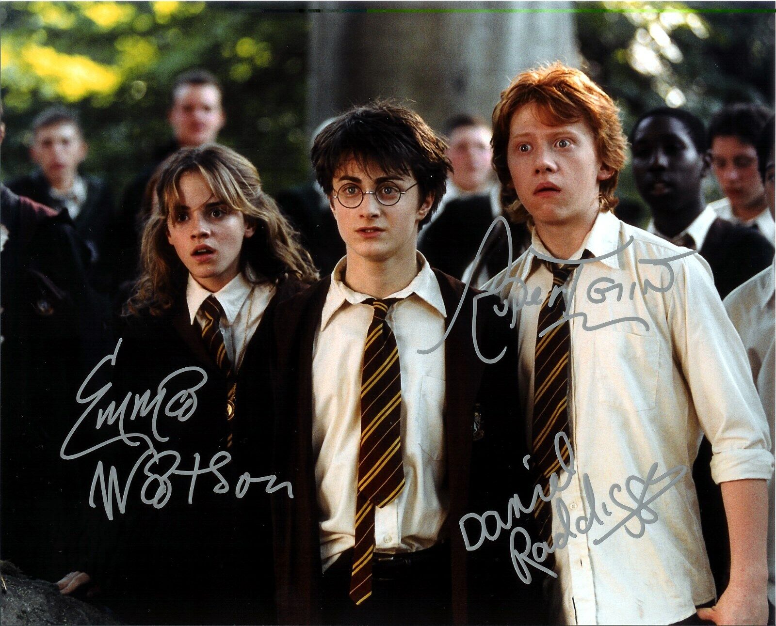 HARRY POTTER - CAST SIGNED Autographed Signed 8x10 Reprint Photo Poster painting #5 !!