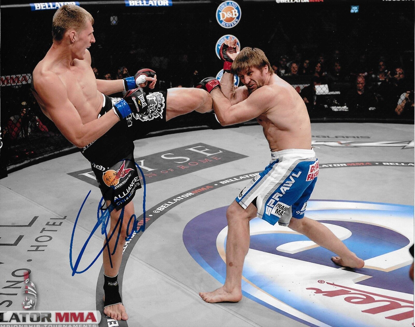 Alexander Volkov Signed 8x10 Photo Poster painting Bellator MMA World Champion Picture Autograph