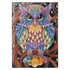 DIY Owl Special Shaped Diamond Painting 50 Page A5 Sketchbook Painting Book