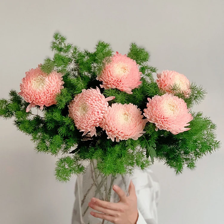 Rare Blue-and-White Porcelain Pink Peony Chrysanthemum Seeds