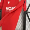 25/26 Osasuna Soccer Jersey Home