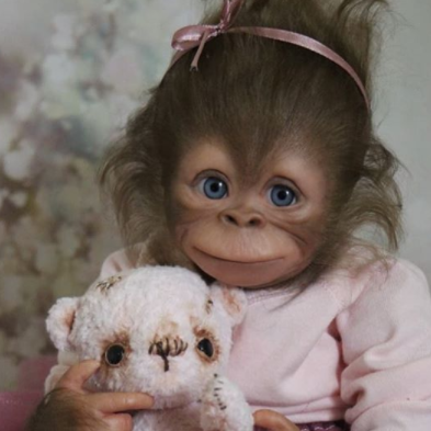 monkey reborn