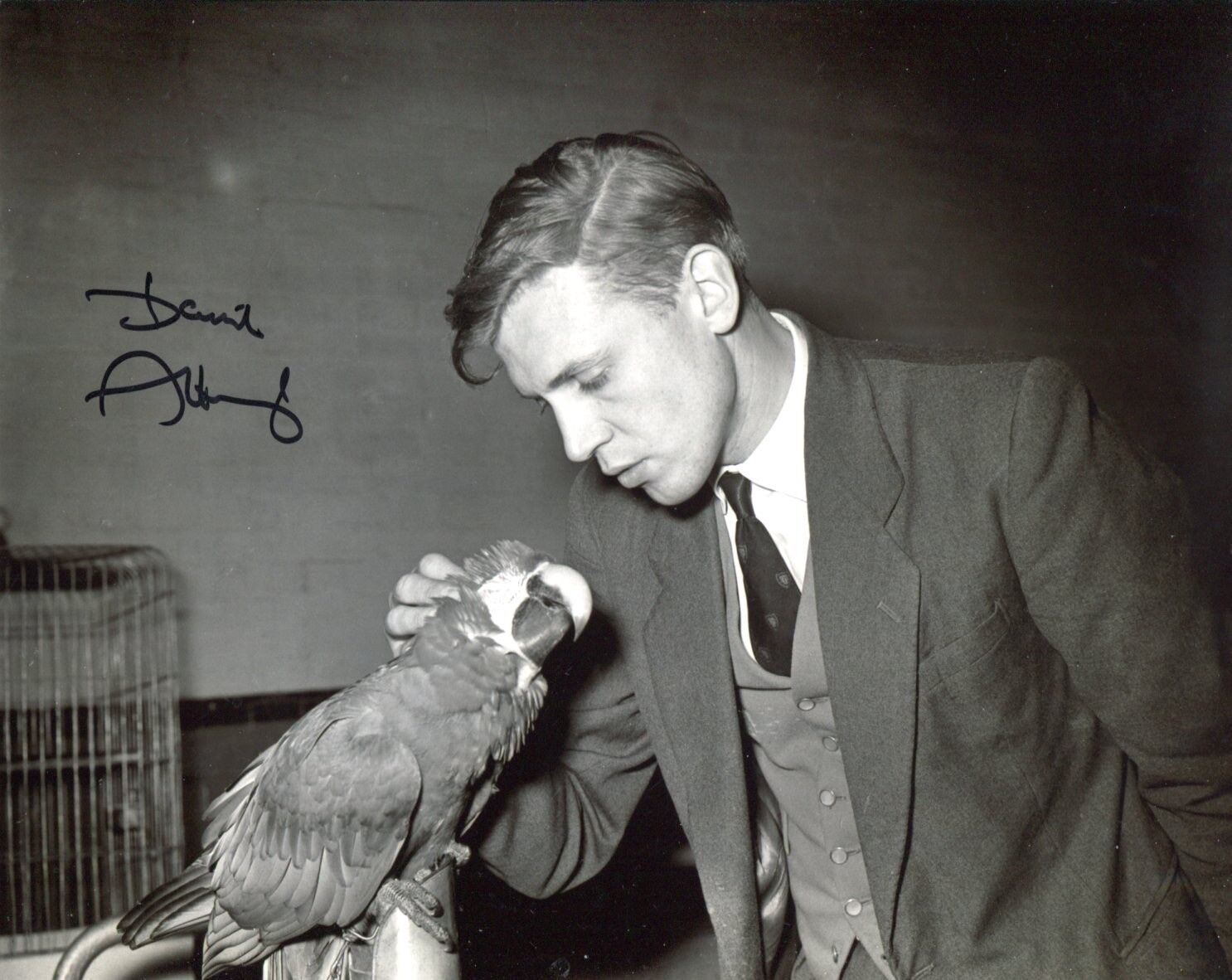 BBC TV Presenter DAVID ATTENBOROUGH signed 8x10 Wildlife Photo Poster painting UACC DEALER