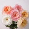 Real Touch Moisture Single Stem Large 15cm Julia Austin Rose Luxe Artificial Flower