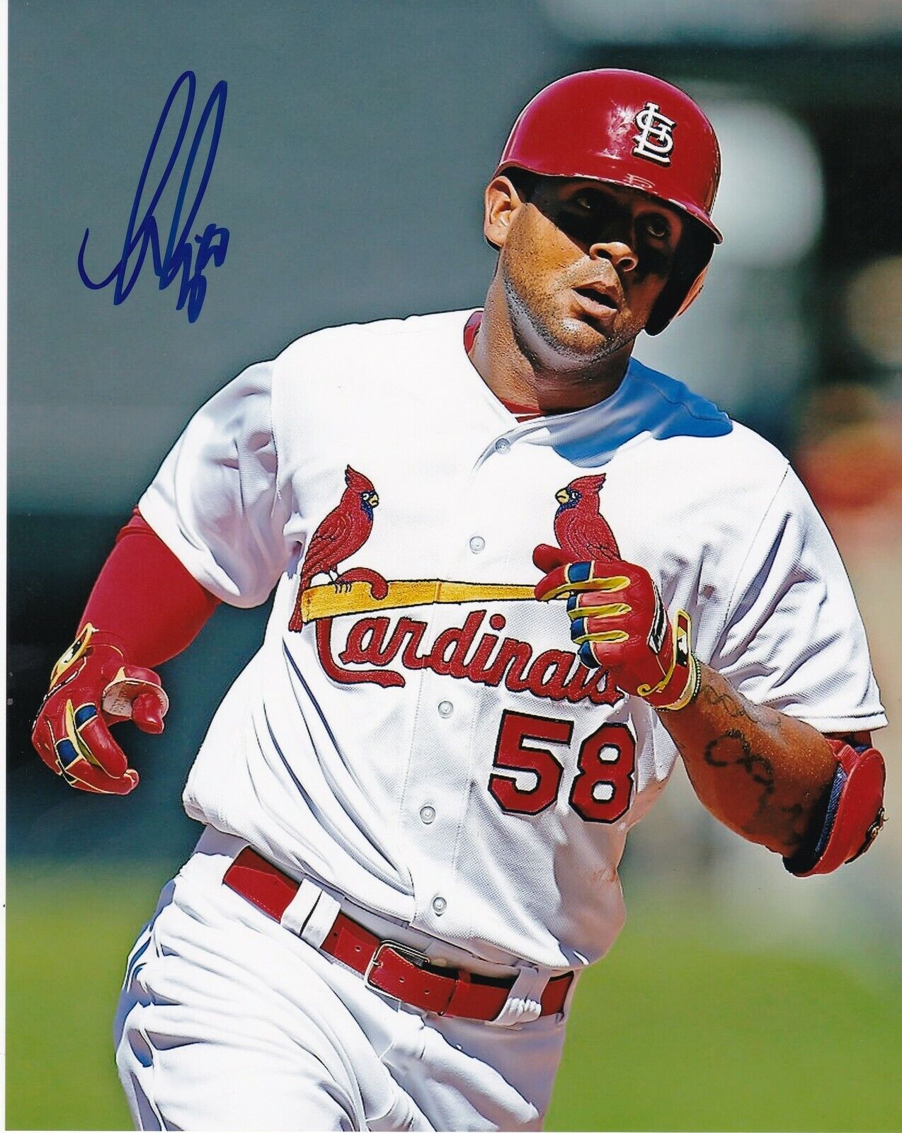 JOSE MARTINEZ ST. LOUIS CARDINALS ACTION SIGNED 8x10