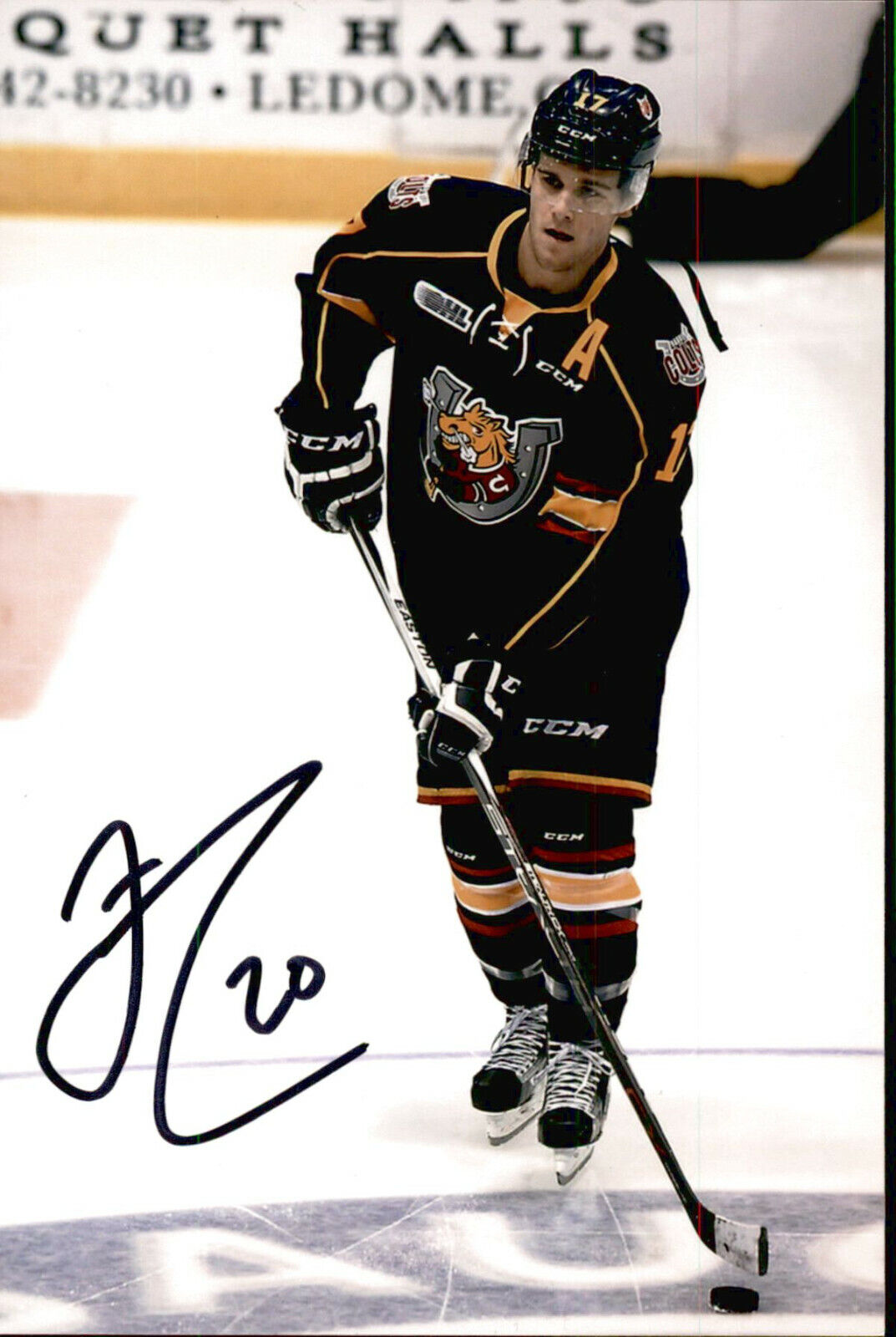 Justin Scott SIGNED autographed 4x6 Photo Poster painting BARRIE COLTS / COLUMBUS BLUE JACKETS