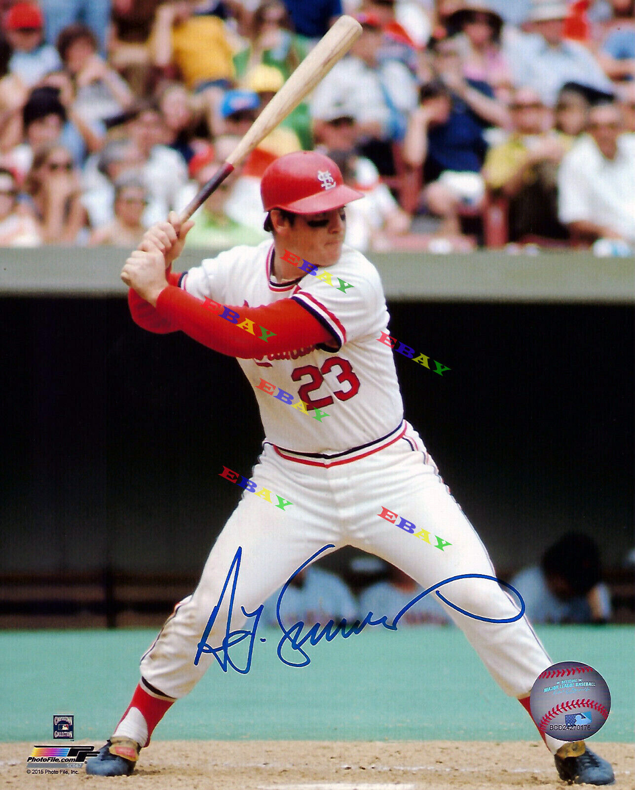 CARDINALS Ted Simmons Signed Autographed 8x10 Photo Poster painting Reprint