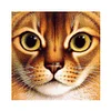 Cat | Full Round/Square Diamond Painting Kits | 20x20cm | 30x30cm