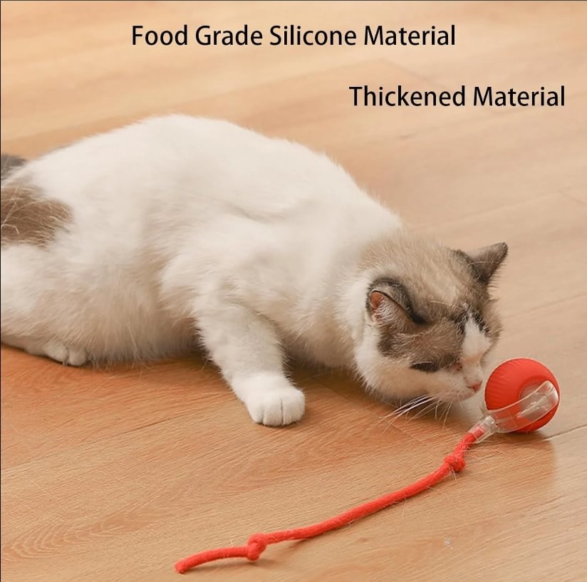 🎁Pet Smart Interactive Rolling Ball With Tail