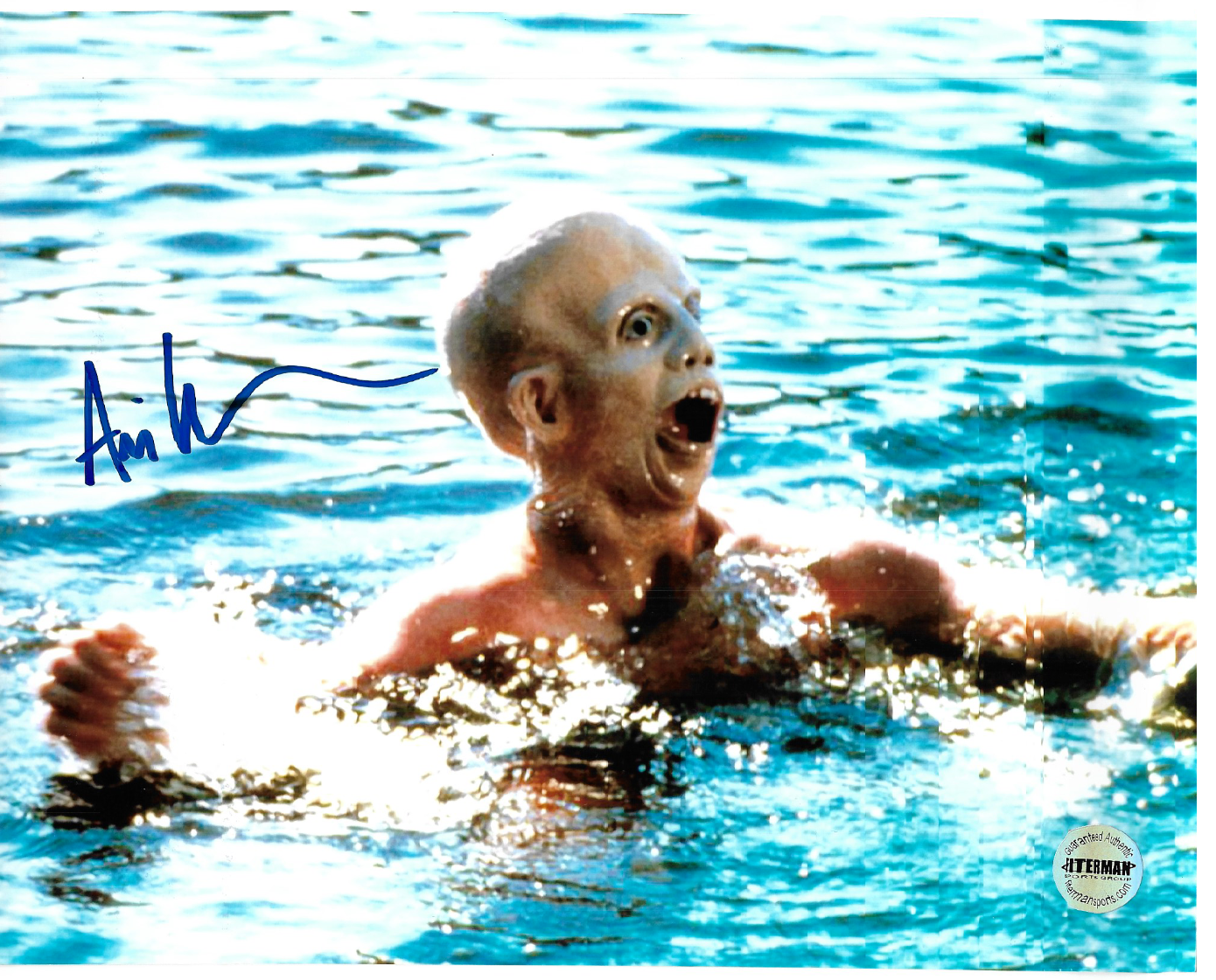 Jason Voorhees ~ Friday The 13th ~ Ari Lehman 8x10 Movie Swimming Photo Poster painting Fiterman