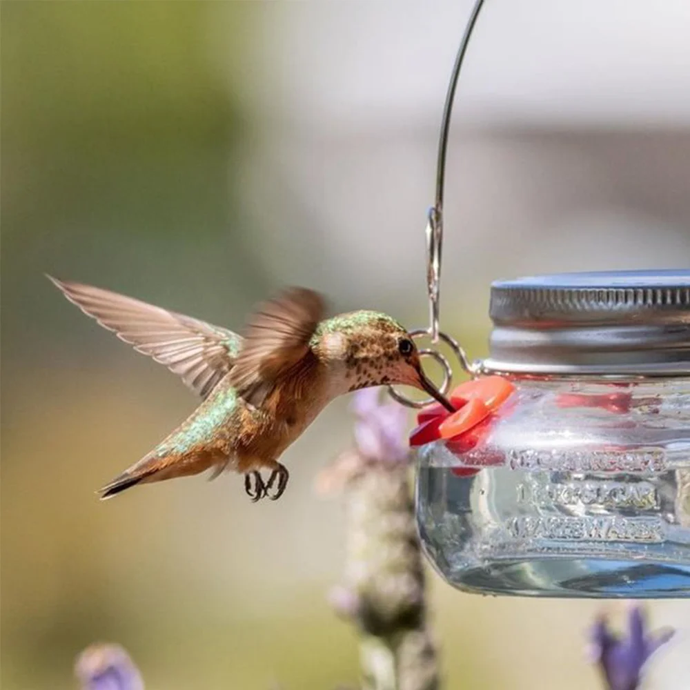 Beautiful canned hummingbird feeder with three ports