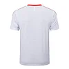 Bayern Munich 25/26 White 125th Anniversary Edition Short-Sleeve Training Kit