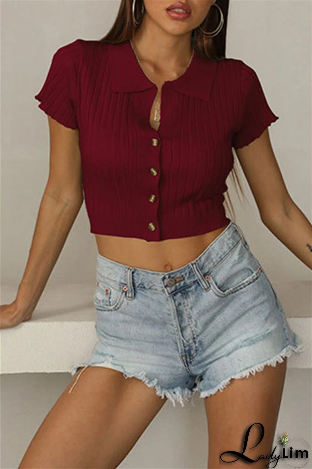 Burgundy Fashion Casual Solid Basic Turndown Collar T-Shirts