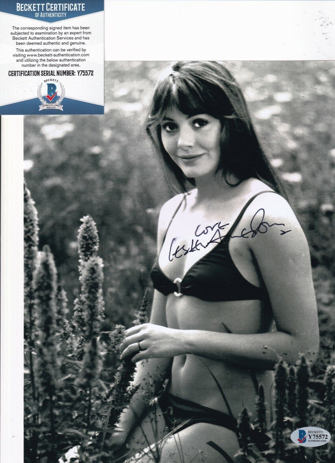 LESLEY-ANNE DOWN signed (NORTH & SOUTH) Madeline 8X10 Photo Poster painting BECKETT BAS Y75572