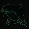 Dolphin | Luminous Diamond Painting Kits