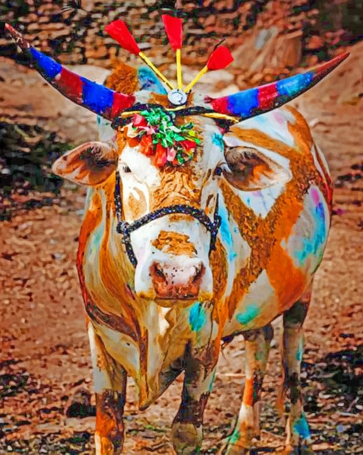 

Colorful Cow – Paint By Numbers - 40*50CM, 501 Original