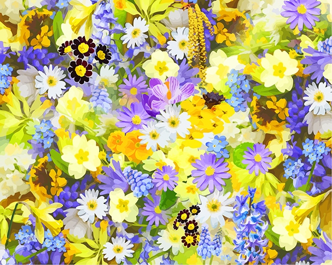 

Spring Flowers – Paint By Numbers - 40*50CM, 501 Original