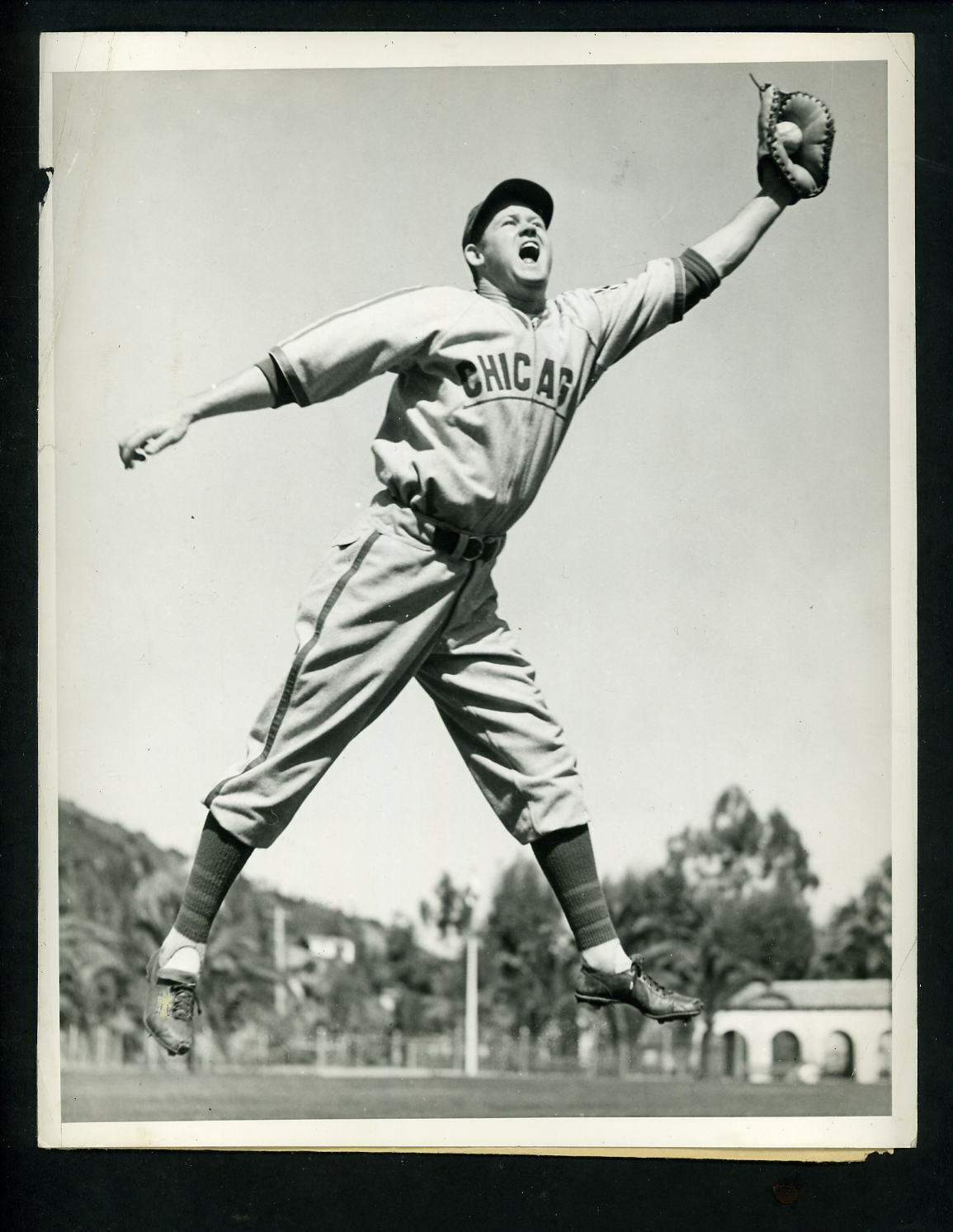 Rip Russell 1939 Type 1 Press Photo Poster painting Chicago Cubs Spring Training at Catalina