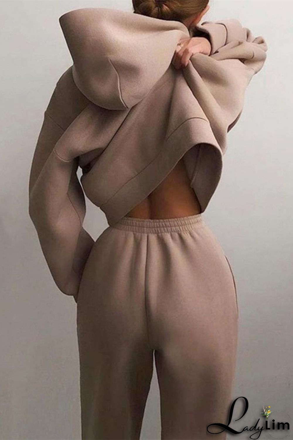 Purple Fashion Casual Solid Basic Hooded Collar Long Sleeve Two Pieces