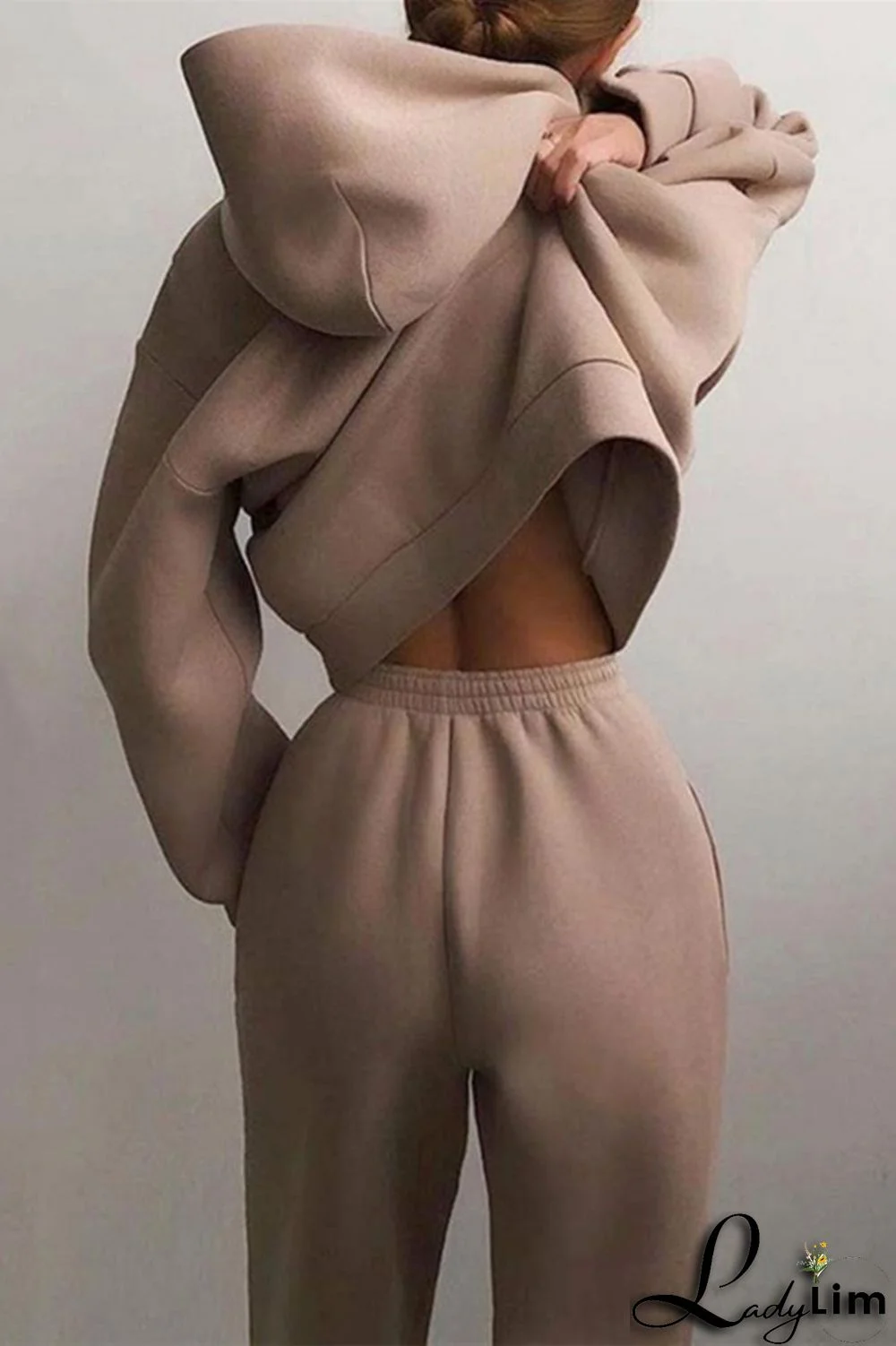 Purple Fashion Casual Solid Basic Hooded Collar Long Sleeve Two Pieces