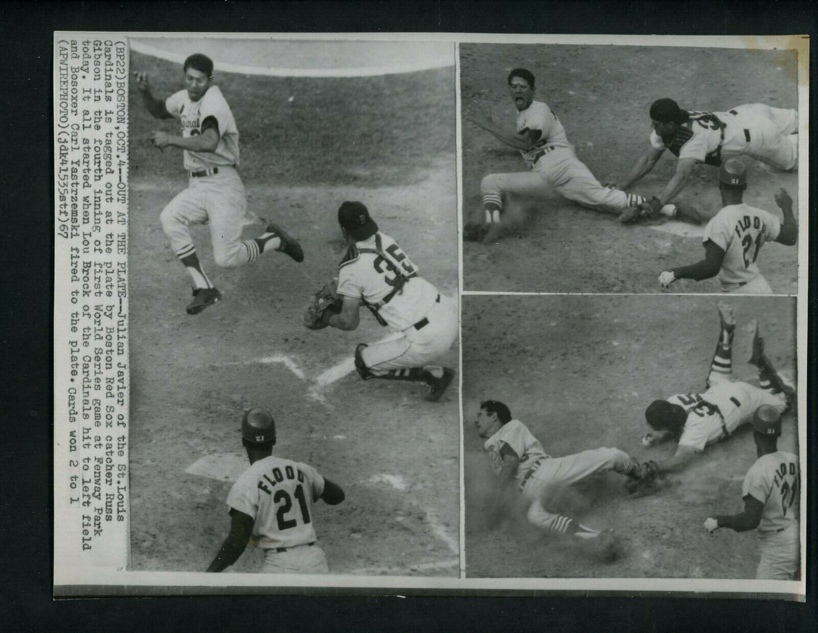 Julian Javier & Russ Gibson 1967 World Series Press Photo Poster painting St. Louis Cardinals