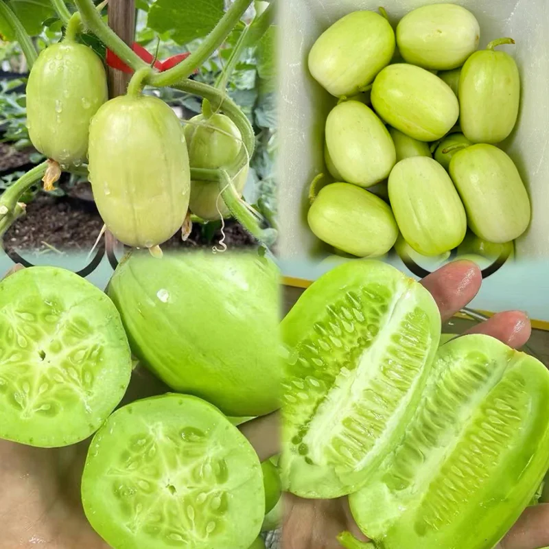 Fruity vitamin C cucumber - Julienne cucumber